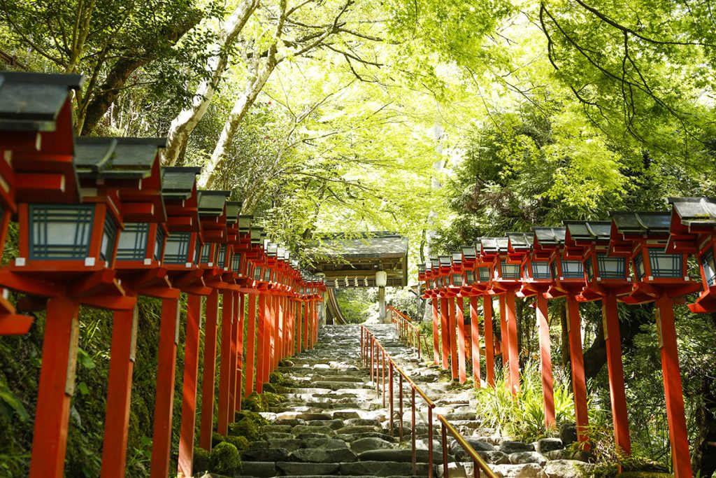 瑞々しい緑に迎えられ石段を登ります