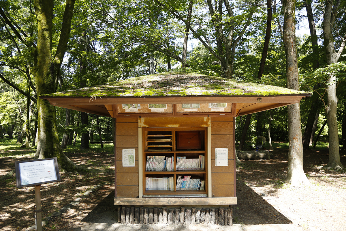 森の文庫は、4月〜11月の9時頃〜16時頃の時間帯で利用できます（雨天時閉鎖）