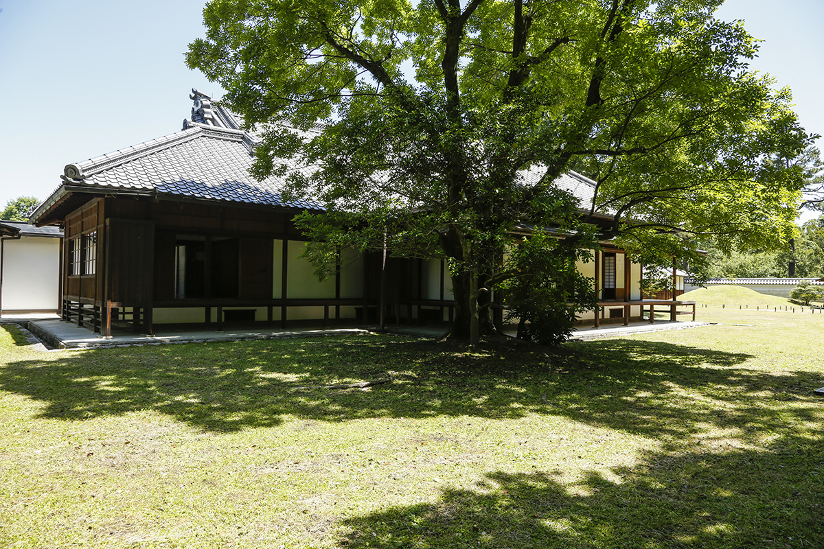 庭から望む主屋。当時の栄華が伺えます