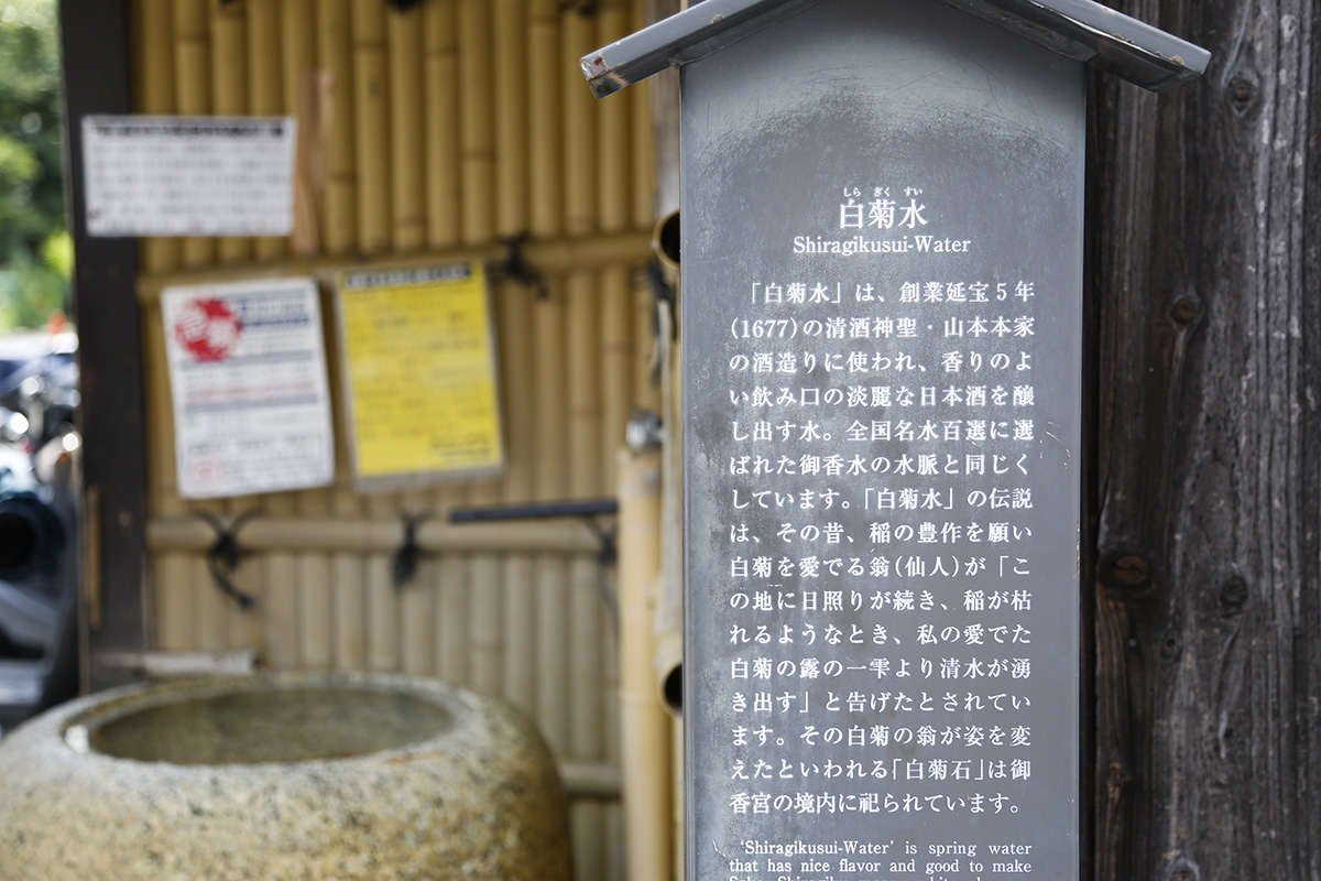 御香水と同じ水脈をもつ「白菊水」