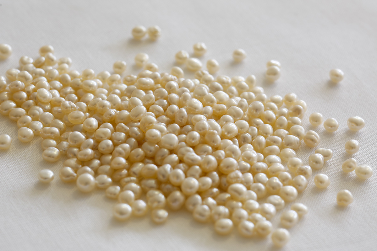 愛らしい小粒の真珠