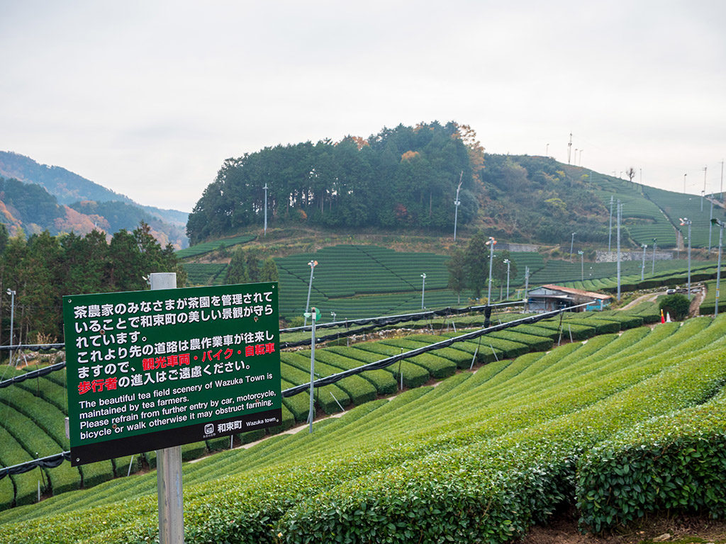 和束町茶畑には入らないように