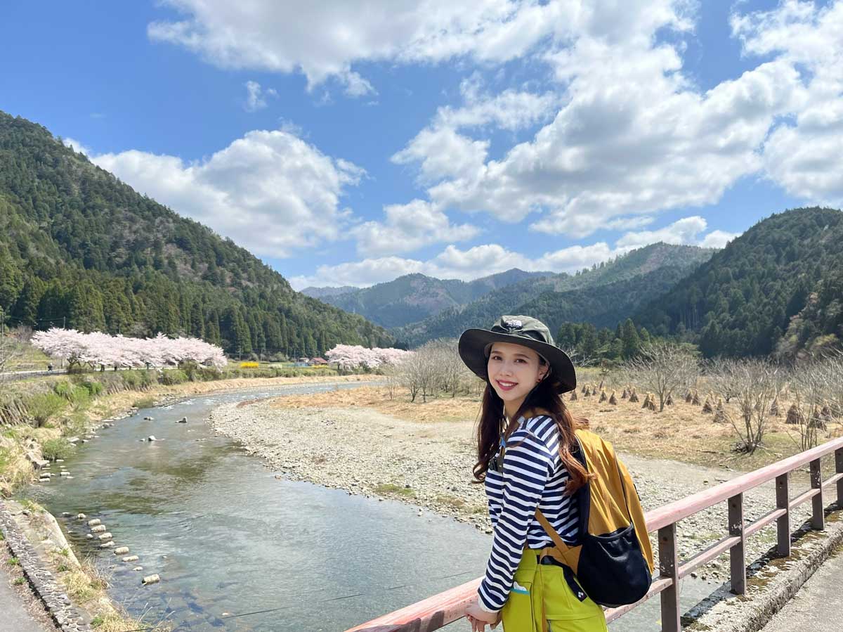 美山川と桜並木