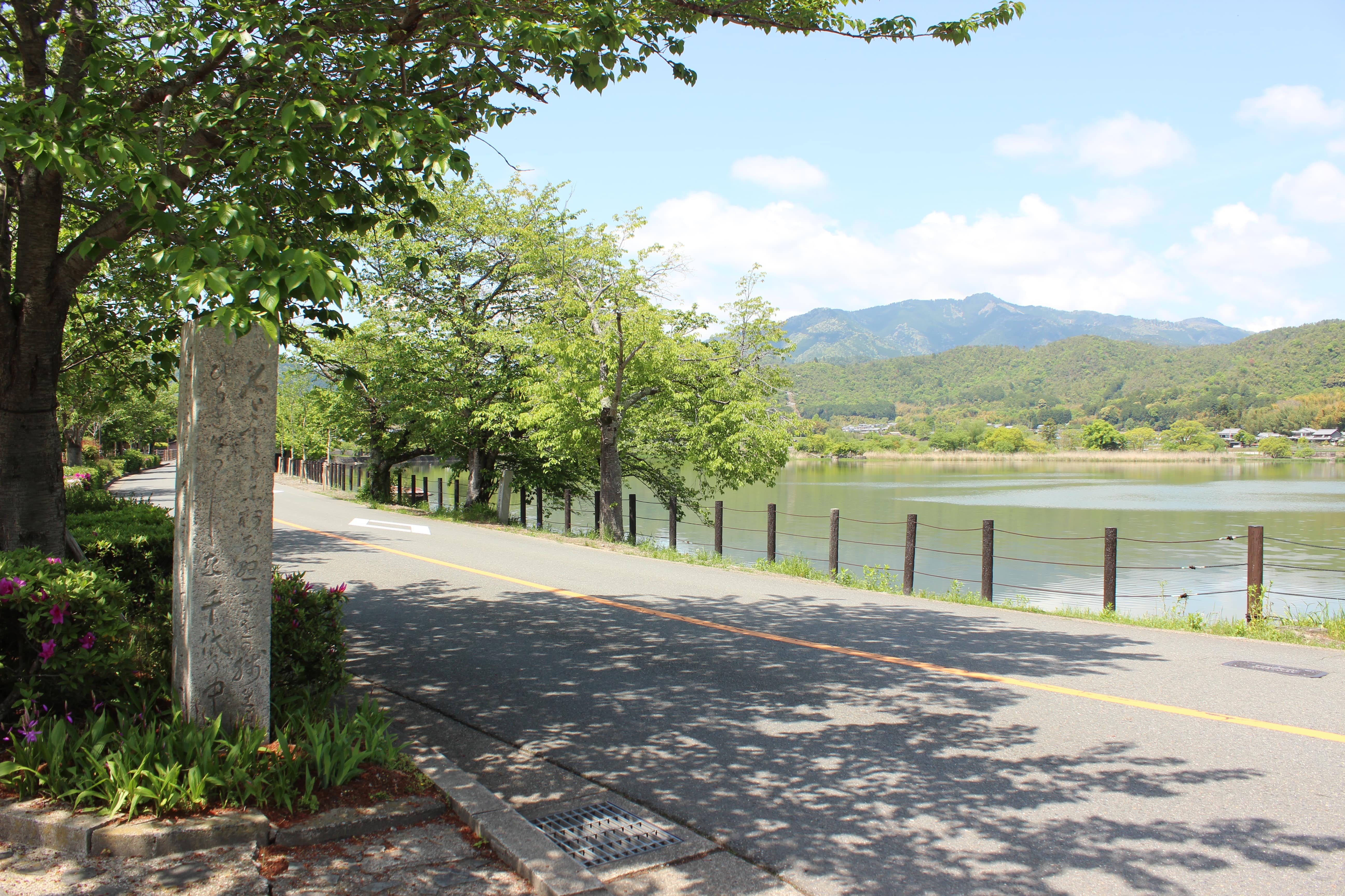 広沢池